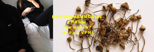прущие крисы Касимов