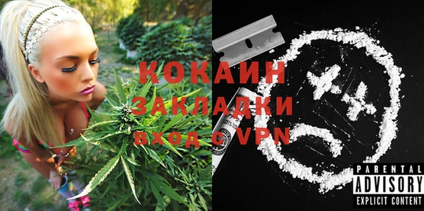 ГАЛЛЮЦИНОГЕННЫЕ ГРИБЫ Карпинск
