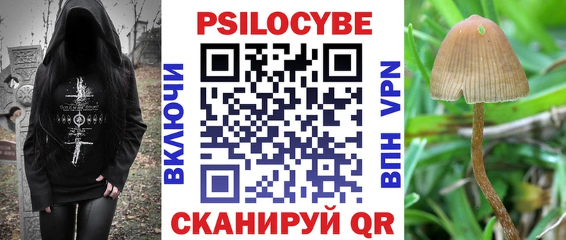 Псилоцибиновые грибы Psilocybine cubensis  Купить закладки  Западная Двина 