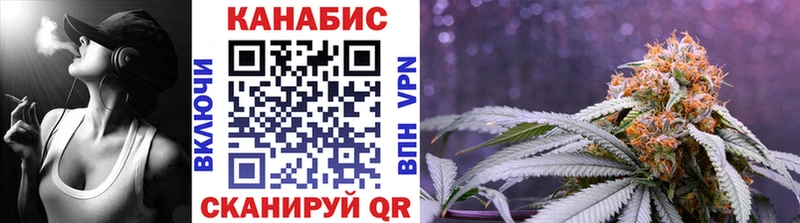 Купить где  Западная Двина  Каннабис Amnesia 